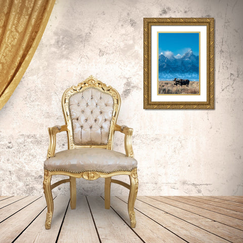 Bull moose portrait with Grand Teton Mountain and National Park in background-Wyoming Gold Ornate Wood Framed Art Print with Double Matting by Garber, Howie