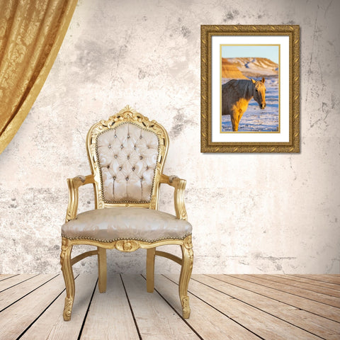 USA- Wyoming. Hideout Horse Ranch- horse in snow. Gold Ornate Wood Framed Art Print with Double Matting by Looney, Hollice