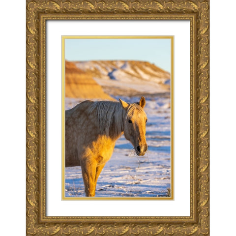 USA- Wyoming. Hideout Horse Ranch- horse in snow. Gold Ornate Wood Framed Art Print with Double Matting by Looney, Hollice