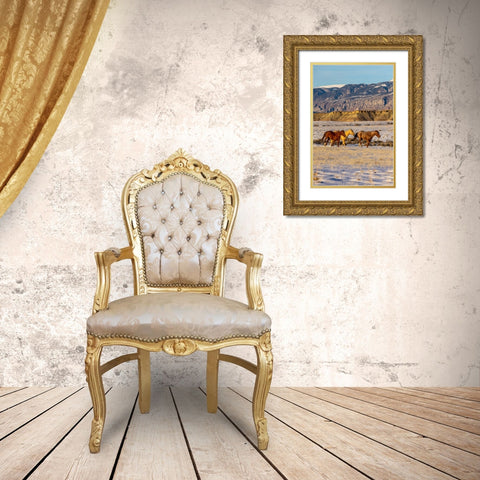 USA- Wyoming. Hideout Horse Ranch- horses in snow. Gold Ornate Wood Framed Art Print with Double Matting by Looney, Hollice