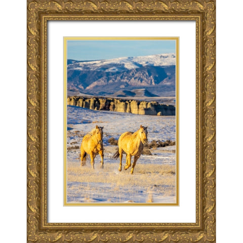USA- Wyoming. Hideout Horse Ranch- horses in snow. Gold Ornate Wood Framed Art Print with Double Matting by Looney, Hollice