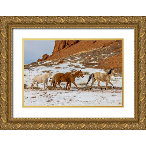 USA- Wyoming. Hideout Horse Ranch- horses in snow. Gold Ornate Wood Framed Art Print with Double Matting by Looney, Hollice