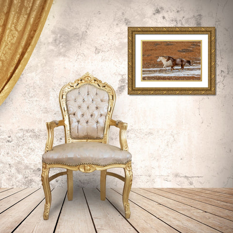 USA- Wyoming. Hideout Horse Ranch- horses in snow. Gold Ornate Wood Framed Art Print with Double Matting by Looney, Hollice
