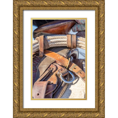 USA- Wyoming. Hideout Horse Ranch- saddle detail. Gold Ornate Wood Framed Art Print with Double Matting by Looney, Hollice