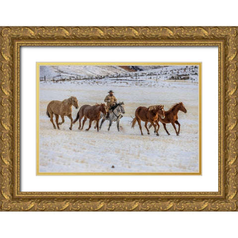 USA- Wyoming. Hideout Horse Ranch- wrangler and horses in snow. Gold Ornate Wood Framed Art Print with Double Matting by Looney, Hollice
