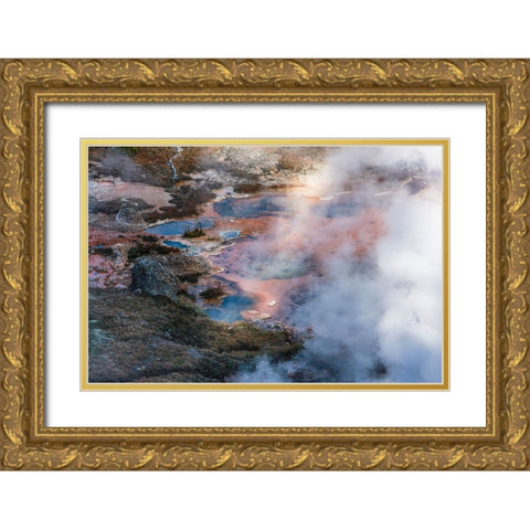 Yellowstone National Park-USA-Wyoming Artists Paintpots Gold Ornate Wood Framed Art Print with Double Matting by Sienda, Jolly