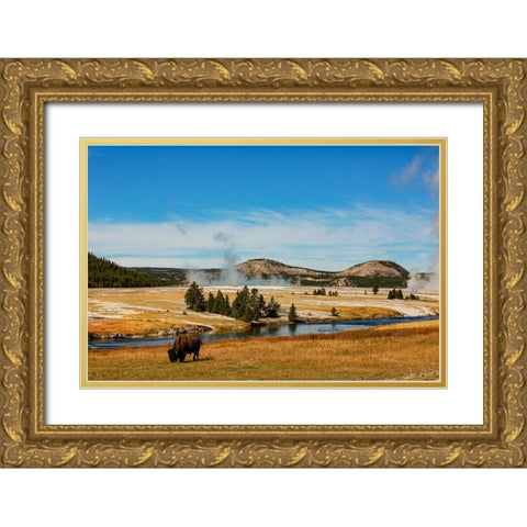 Yellowstone National Park-USA-Bison-buffalo-Steam-Old Faithful-Yellowstone River Gold Ornate Wood Framed Art Print with Double Matting by Sienda, Jolly