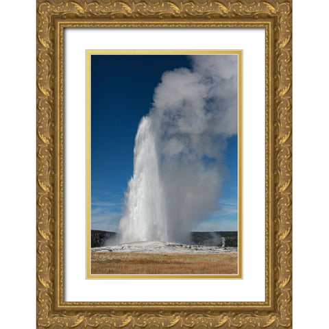 Yellowstone National Park-USA-Old Faithful Gold Ornate Wood Framed Art Print with Double Matting by Sienda, Jolly