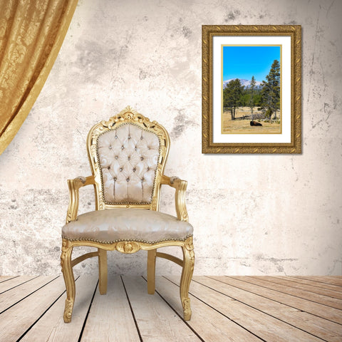Yellowstone National Park-Wyoming-USA Buffalo Gold Ornate Wood Framed Art Print with Double Matting by Sienda, Jolly