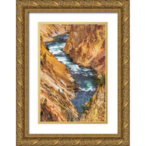 The Yellowstone River in the Grand Canyon of the Yellowstone-Yellowstone National Park-Wyoming-USA Gold Ornate Wood Framed Art Print with Double Matting by Bishop, Russ