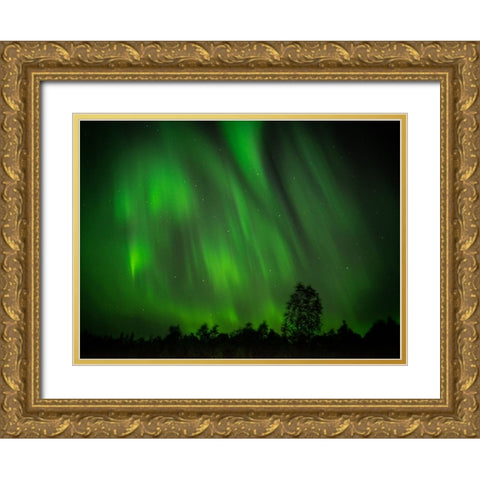 My Perfect Night Gold Ornate Wood Framed Art Print with Double Matting by Caroline Stroksnes, Mette