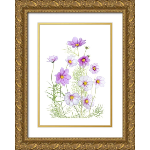Cosmos Comfort Gold Ornate Wood Framed Art Print with Double Matting by Disher, Mandy