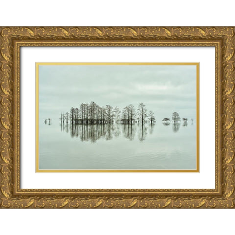 Lake-Shore Lineup Beauty Gold Ornate Wood Framed Art Print with Double Matting by Yu, Liyun