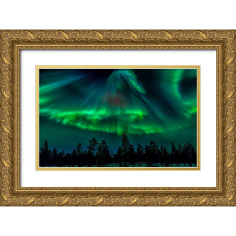 Northern Bell Gold Ornate Wood Framed Art Print with Double Matting by Schwartz, Yair