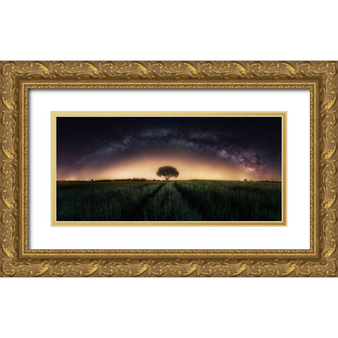 Milky Way Over Lonely Tree Gold Ornate Wood Framed Art Print with Double Matting by Ferrero, Ivan