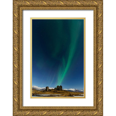Dancing In The Sky Gold Ornate Wood Framed Art Print with Double Matting by Roxo, Alvaro