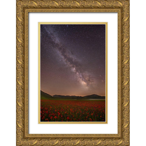 Red Meadows Gold Ornate Wood Framed Art Print with Double Matting by Marchegiani, Roberto