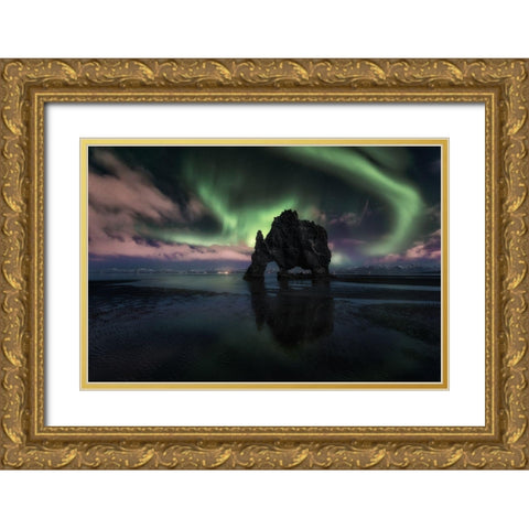 Rhino Gold Ornate Wood Framed Art Print with Double Matting by Martin Castan, David