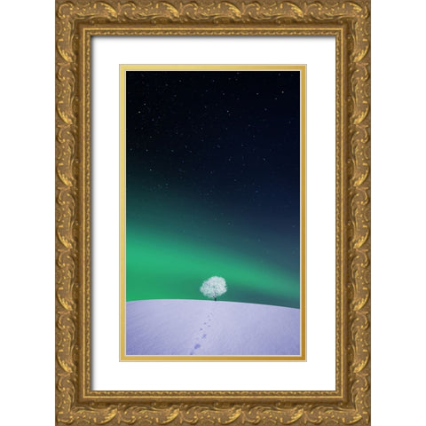 Apple Gold Ornate Wood Framed Art Print with Double Matting by Hamiti, Bess