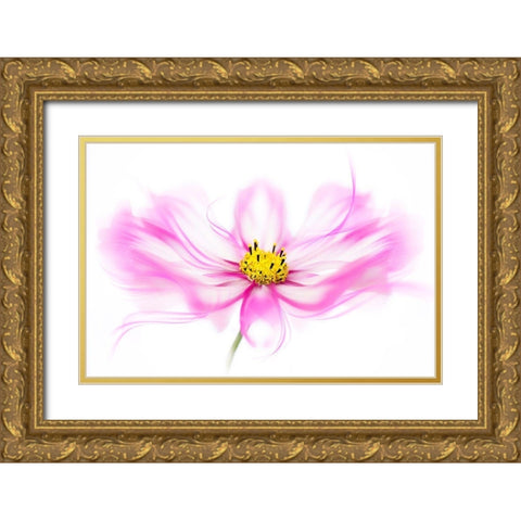 Breeze Gold Ornate Wood Framed Art Print with Double Matting by Parker, Jacky
