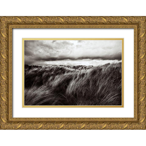 Dunes Of Grass Gold Ornate Wood Framed Art Print with Double Matting by Paul