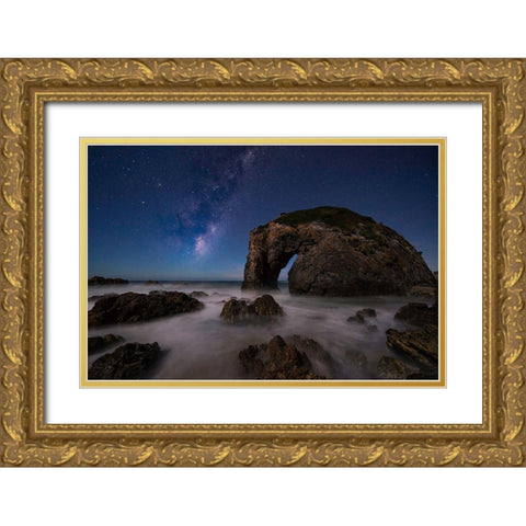 Horsehead Rock Gold Ornate Wood Framed Art Print with Double Matting by Zhu, Jingshu