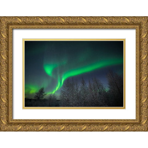 Aurora Split Gold Ornate Wood Framed Art Print with Double Matting by Leske, Mike