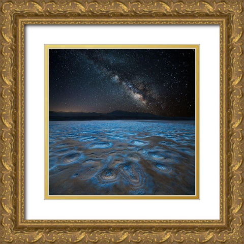 Planet X Gold Ornate Wood Framed Art Print with Double Matting by Fan, John