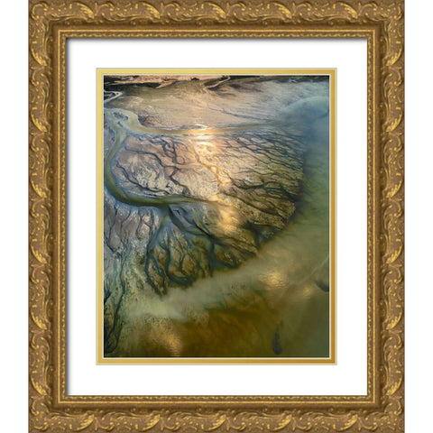 The Earth Veins Gold Ornate Wood Framed Art Print with Double Matting by Alnomas, Faisal