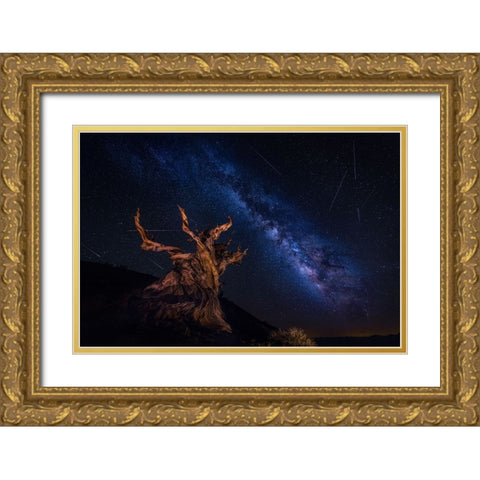 Shooting Stars Night Gold Ornate Wood Framed Art Print with Double Matting by Zheng, Michael