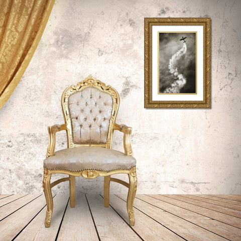 Aviation Dna Gold Ornate Wood Framed Art Print with Double Matting by Reinders, Riekus