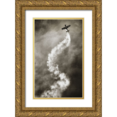 Aviation Dna Gold Ornate Wood Framed Art Print with Double Matting by Reinders, Riekus