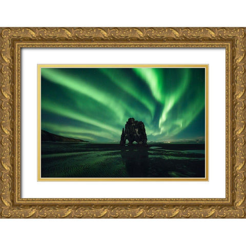 Rhino Gold Ornate Wood Framed Art Print with Double Matting by Martin Castan, David