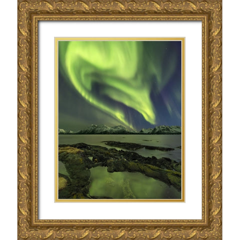 The Aliensaas Head Gold Ornate Wood Framed Art Print with Double Matting by Smid Master, Jan