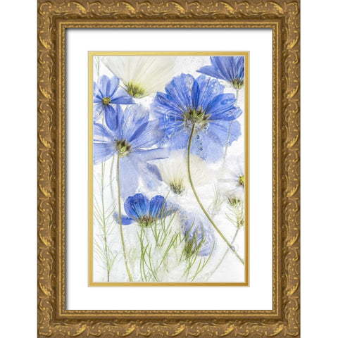 Cosmos Blue Gold Ornate Wood Framed Art Print with Double Matting by Disher, Mandy