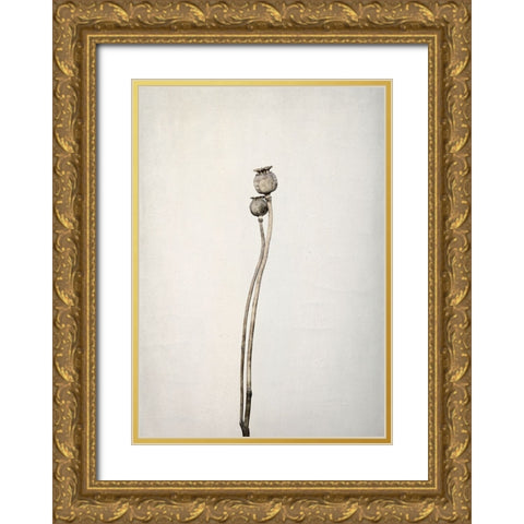 Two Old Poppies Gold Ornate Wood Framed Art Print with Double Matting by Gronkjar, Lotte