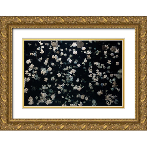 Just Some Jellies Gold Ornate Wood Framed Art Print with Double Matting by Graf, Sebastian