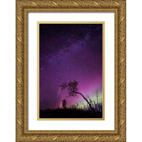 Under The Stars - 1 Gold Ornate Wood Framed Art Print with Double Matting by Ifrim, Sorin
