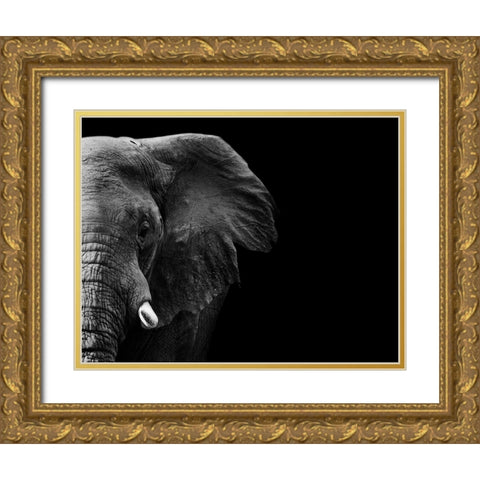 Elephant Gold Ornate Wood Framed Art Print with Double Matting by WildPhotoArt