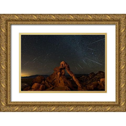 Geminid Meteor Shower Above The Elephant Rock Gold Ornate Wood Framed Art Print with Double Matting by Zhu, Hua
