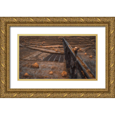 An Old Canal Gold Ornate Wood Framed Art Print with Double Matting by TIANQI