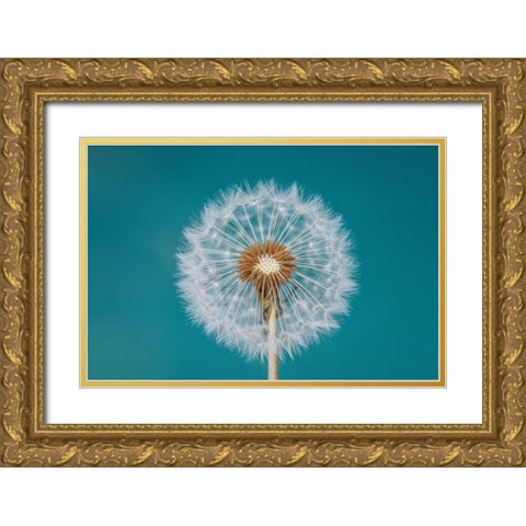 Dandelion Gold Ornate Wood Framed Art Print with Double Matting by Hamiti, Bess