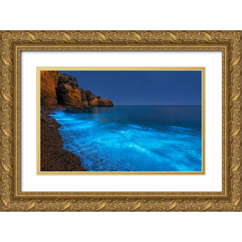 Bioluminescent Bay Gold Ornate Wood Framed Art Print with Double Matting by Zhu, Hua