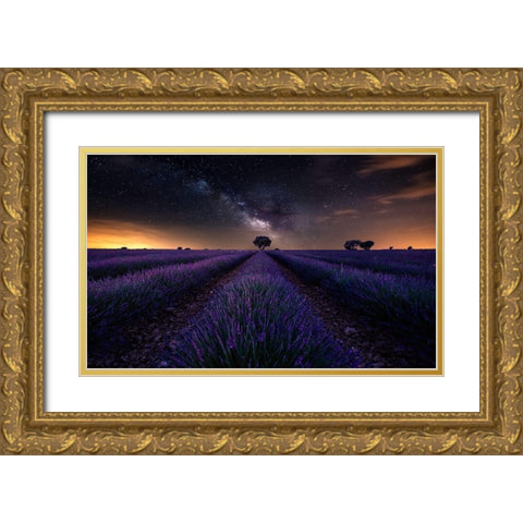 Fields Of Castilla Gold Ornate Wood Framed Art Print with Double Matting by Ruiz Dueso, Jorge