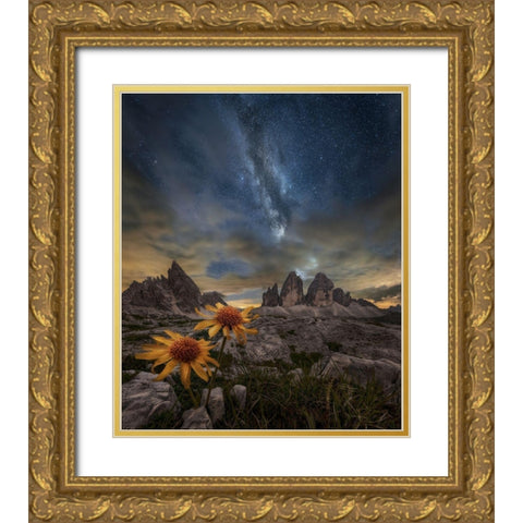 Even The Flowers Seem To Be Fascinated By The Stars Gold Ornate Wood Framed Art Print with Double Matting by Ghizzi Panizza, Alberto