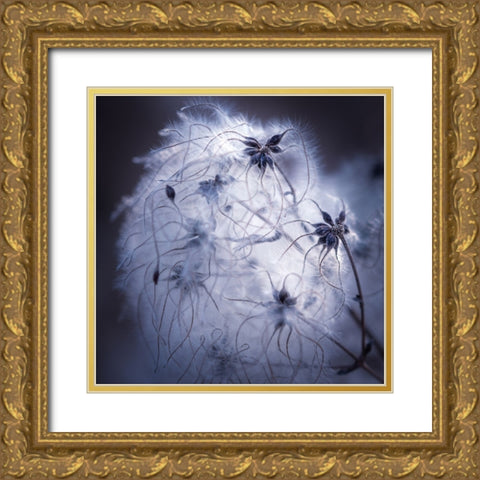Network Gold Ornate Wood Framed Art Print with Double Matting by Menhard, Ingo