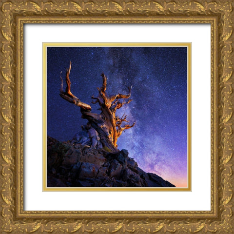 The Ancient Tree Gold Ornate Wood Framed Art Print with Double Matting by Suradji, Surjanto