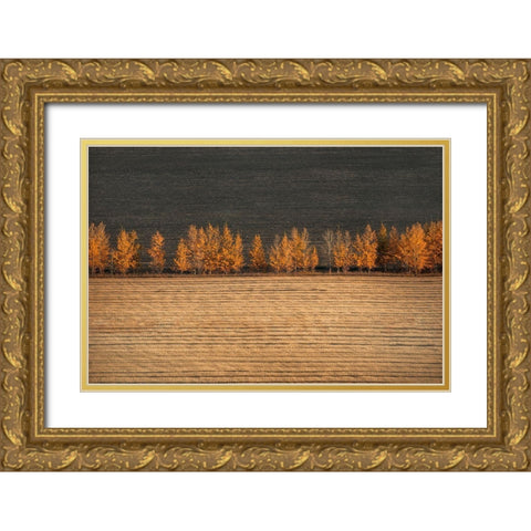 Autumn Colors Gold Ornate Wood Framed Art Print with Double Matting by Tianqi
