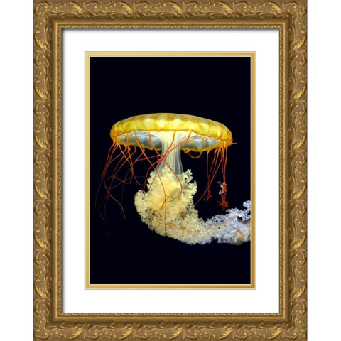 *** Gold Ornate Wood Framed Art Print with Double Matting by Fyb