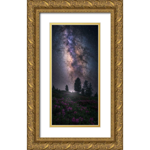 Art Of Night V Gold Ornate Wood Framed Art Print with Double Matting by F. Turienzo, Carlos